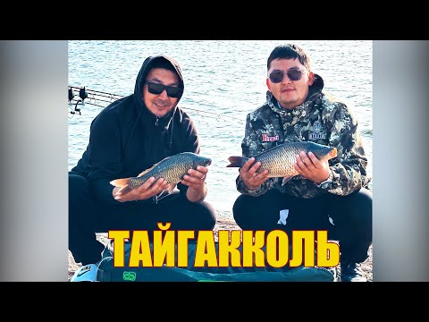 Видео: Озеро ТАЙГАККОЛЬ