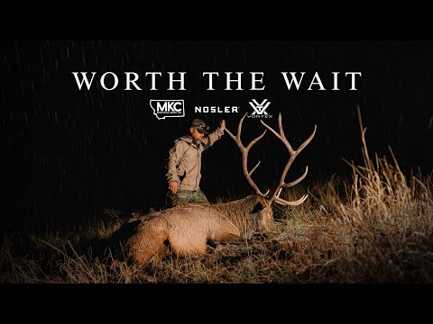 Видео: 380-ДЮЙМОВЫЙ ГИГАНТ ОБЩЕСТВЕННЫХ ЗЕМЕЛЬ!! | ОХОТА НА ЛОСЯ В АРИЗОНЕ | СТОИТ ОЖИДАНИЯ