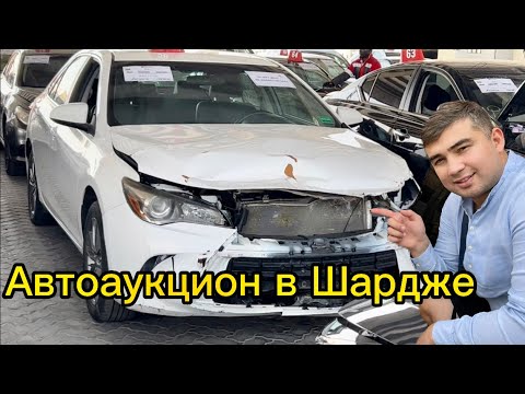 Видео: Авто за копейки . Автоаукцион битых авто в Шардже.