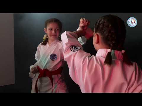 Видео: Зироян Арман Ваганович. Визитная карточка на конкурс «СЕРДЦЕ ОТДАЮ ДЕТЯМ»