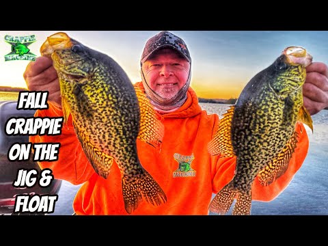 Видео: ОСЕННИЙ КРАППИ НА ДЖИГ И ПОПЛАВОК - НОВОЕ ВИДЕО!