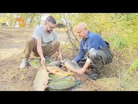 Видео: Погоня за КАРПОМ 10+кг продолжается!!!