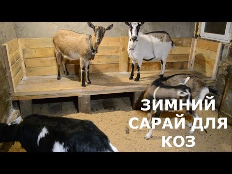 Видео: Сарай для коз ( зимний)