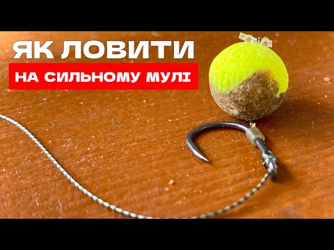 Видео: ЯК ЛОВИТИ КОРОПА НА МУЛІ. Які монтажі та насадки використовувати
