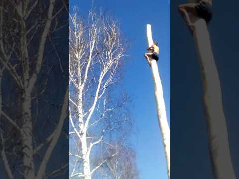 Видео: День села комиши(6)