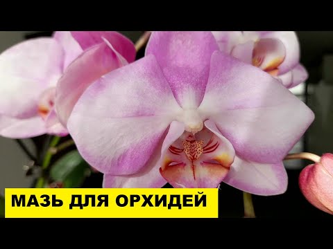 Видео: МАЗЬ ДЛЯ ЛЕЧЕНИЯ ОРХИДЕЙ...МОЙ САДИК