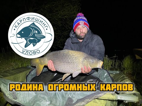 Видео: Таких КАРПОВ я ещё не видел. РЫБАЛКА НА ЛУЧШЕМ ВОДОЁМЕ.