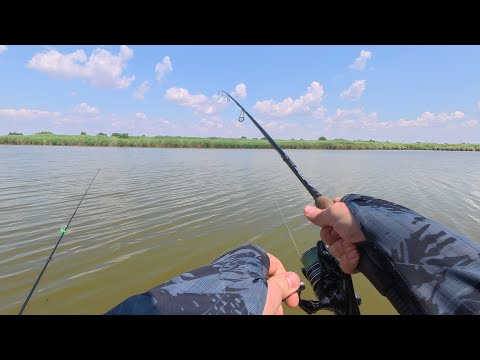 Видео: Сазан дуреет с этой прикормки! Разловил новый водоём и протестировал лучшую прикормку!