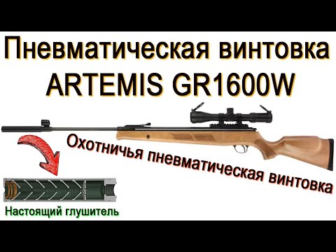 Видео: Пневматическая винтовка Artemis GR1600W самая мощная охотничья воздушка с глушителем 💪