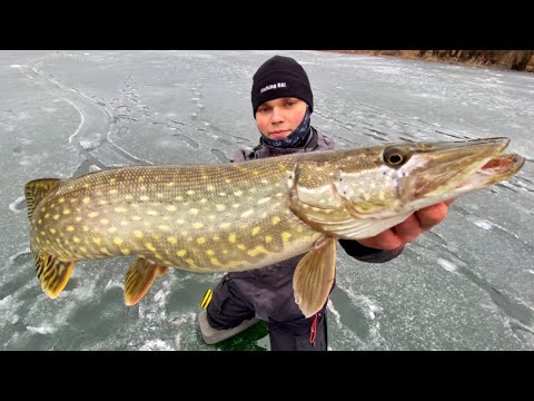 Видео: ЩУКА НЕ ЛІЗЕ В ЛУНКУ! Ловля щуки на жерлиці зимою 2023! Зимова рибалка на щуку в лютому! Жерлиці