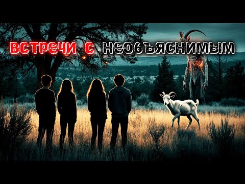 Видео: ЛЕС ЗНАЛ, ЧТО МЫ ПРИДЕМ. 3 ИСТОРИИ, ОТ КОТОРЫХ СТЫНЕТ КРОВЬ