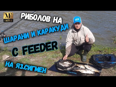 Видео: Фидер риболов на Шарани и Каракуди - Feeder Fishing
