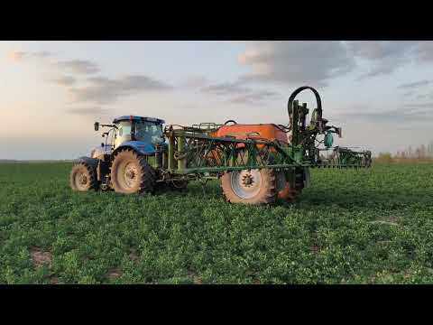 Видео: БРЫЗГАЕМ РАПС. СЕЗОН 2025 ГОД.