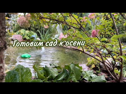 Видео: Готовлю сад к осени 🍂Уборка цветника