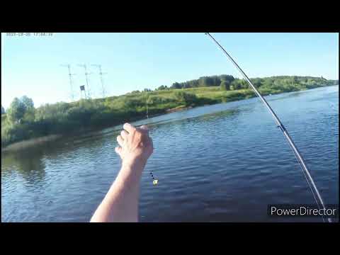Видео: Рыбалка на Волге в Твери.Тестируем новые вертушки от магазина Фиштрофи