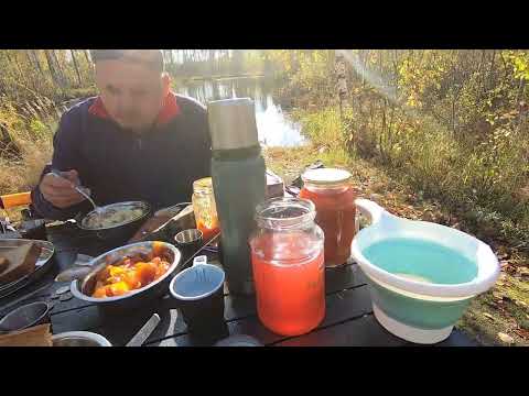 Видео: Карелия охота на гуся