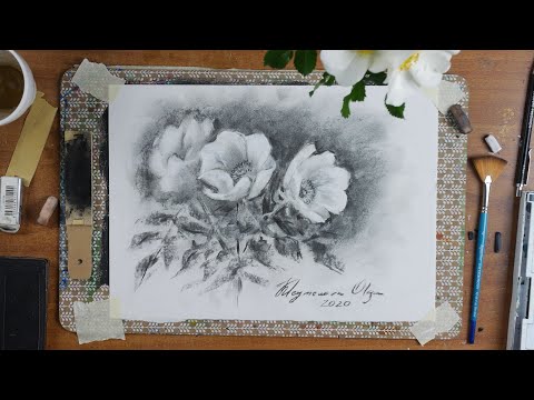 Видео: Рисунок углем.Цветы.Урок для начинающих.