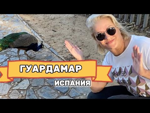 Видео: Гуардамар-дель-Сегура 🌴 Прогулка по красивому городу Коста-Бланки