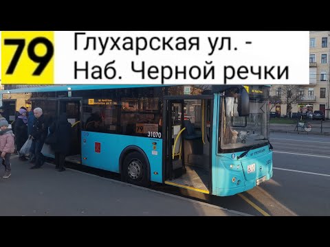 Видео: Автобус 79. Глухарская ул. - Наб. Черной речки