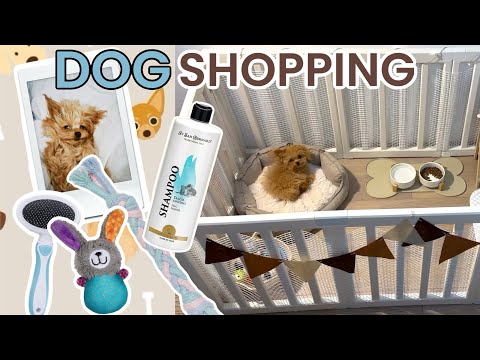 Видео: Покупки для щенка мальтипу 🛍️🐕| сколько денег нужно для ухода за собакой 💸 | домик Барни