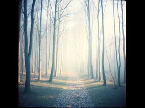 Видео: Лови момент пока живёшь..