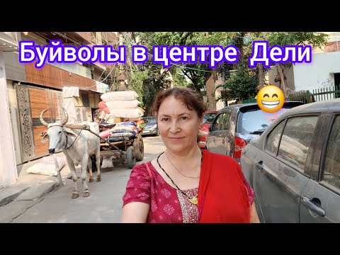Видео: Ем запретную еду😲Ремонт замка на чемодане.Eating forbidden food.😲Repairing a lock on a suitecase.