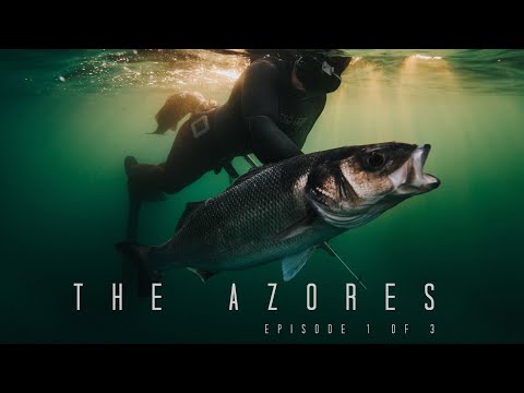Видео: Подводная охота на материковой части Португалии и Азорских островах — морской окунь, лобстер, дли...