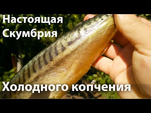 Видео: Рыба Холодного Копчения Скумбрия.