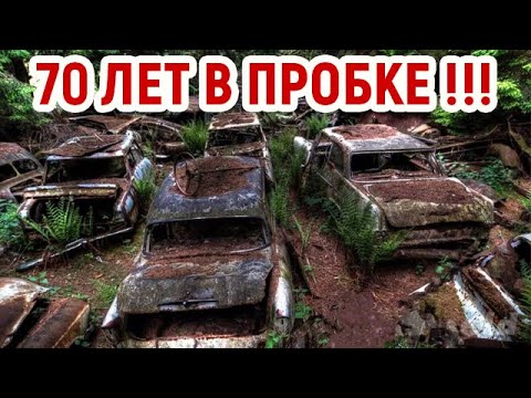 Видео: Эти автомобили на 70 лет застряли в пробке в лесу! Самые большие кладбища брошенной техники