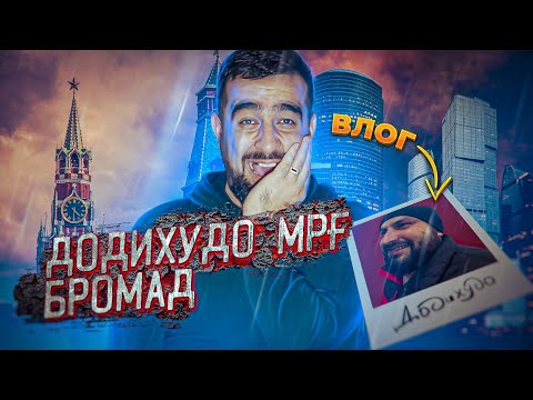 Видео: ЧИХЕЛ ДОДИХУДОРА МРГ БРОВАРДЕМ?!