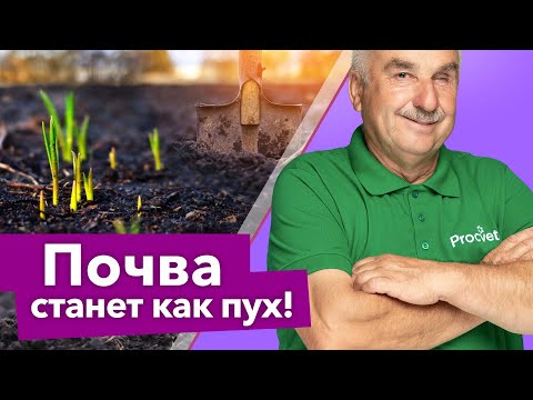 Видео: ДАЖЕ САМАЯ ТЯЖЕЛАЯ ПОЧВА СТАНЕТ РЫХЛОЙ И ПЛОДОРОДНОЙ, если сделать эти нехитрые работы