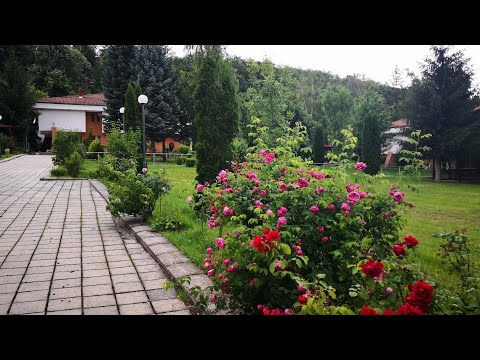 Видео: На гости в "Дом за ветерани" -  село Орешак