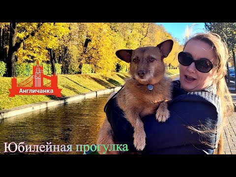 Видео: LIVE*PITER: Челси-Челси, где ты был? На Фонтанке кофе пил... Вышли в центр Петербурга с собакой