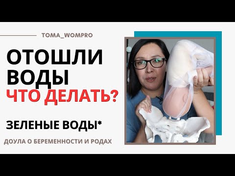 Видео: ОТОШЛИ ВОДЫ ЧТО ДЕЛАТЬ? Пошаговая инструкция. Зеленые воды.