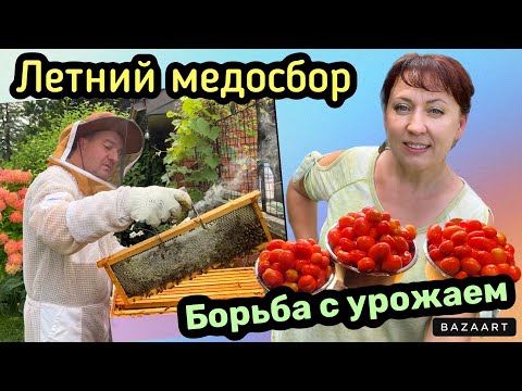 Видео: Жизнь в Канаде// Рыбака - Безрыбалка// Качаем Летний Мёд// Борьба с Урожаем