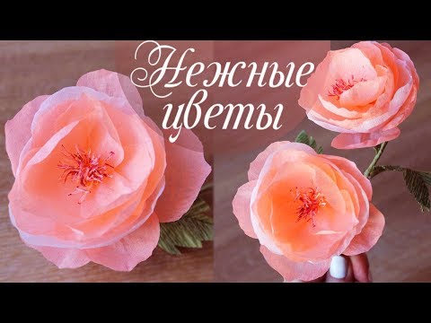 Видео: КРАСИВЫЕ цветы из крепированной бумаги