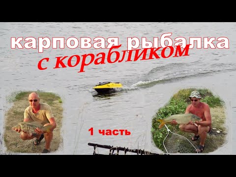 Видео: Карповая рыбалка с КОРАБЛИКОМ 💥 Трофейные КАРПЫ и АМУРЫ среди белого дня!  Fishing Video