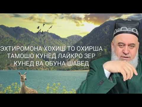 Видео: Хочи Мирзо 2022  Саволу Чавоб 7 Марта