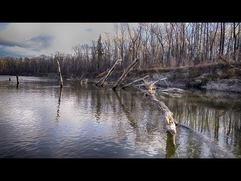 Видео: ПОПАЛИ НА ЖОР В ЛЮТОМ КОРЯЖНИКЕ! Так вот где вся рыбалка оказывается!!
