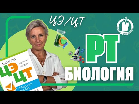 Видео: 🌱 ГОТОВЬСЯ к ЦЭ по БИОЛОГИИ. РАЗБОР РТ-3 #цэбиология #цэ #егэ #рт #подготовкакцт #урок #цтбиология