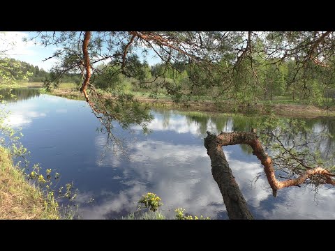 Видео: река Волкота Тверская #2 Стеклино - Охват 11-12 мая 2023