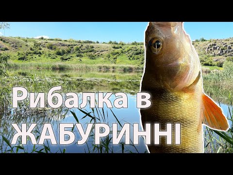 Видео: Рибалка в ЖАБУРИННІ спінінг мікроджиг ловля окуня на ультралайт
