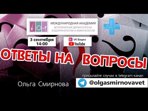 Видео: Ответы на вопросы. Выпуск от 3.09.2025