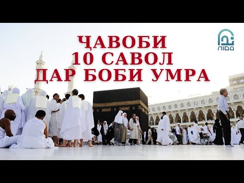 Видео: 10 САВОЛУ ҶАВОБ ДАР БОРАИ УМРА.Устод Муҷтабои Акбарӣ
