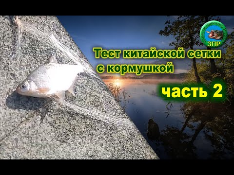 Видео: Обзор китайской сетки с кормушкой ч 2