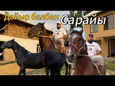 Видео: Дайыр балбандын сарайына саякат укмуш аттар баркен