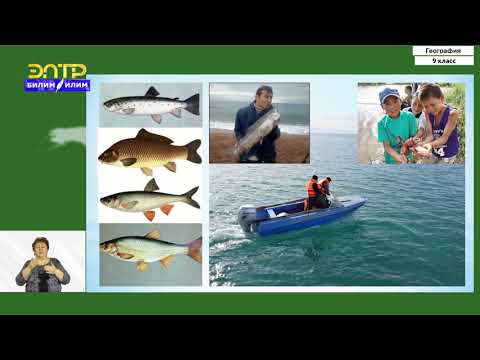 Видео: 9-класс | География  | Иссык-Кульская область