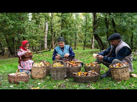 Видео: Осенние лесные грибы — сбор и маринование 🍁