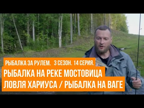 Видео: Рыбалка на реке Мостовица \  Ловля хариуса \ Рыбалка на Ваге \ Рыбалка за рулем \ 3 сезон