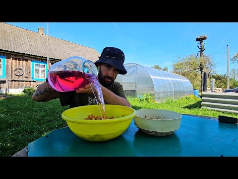 Видео: Живу один в глухой деревне. ЖЕНА УМОТАЛА в город...